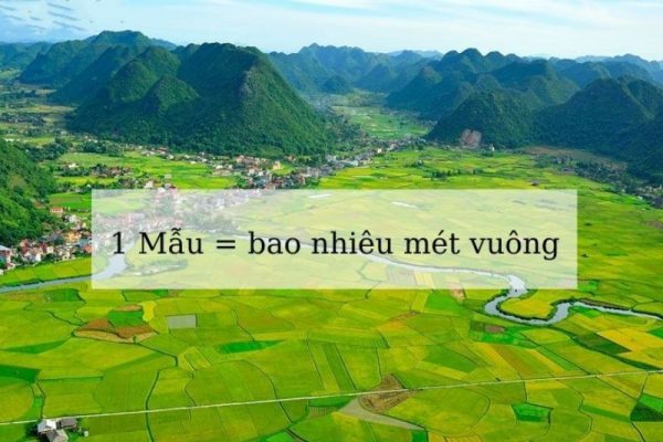 1 mẫu bằng bao nhiêu m2 phụ thuộc vào vùng miền sử dụng đơn vị đo này 