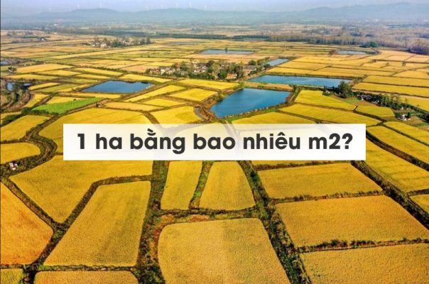 Đơn vị ha được sử dụng để biểu thị diện tích lớn