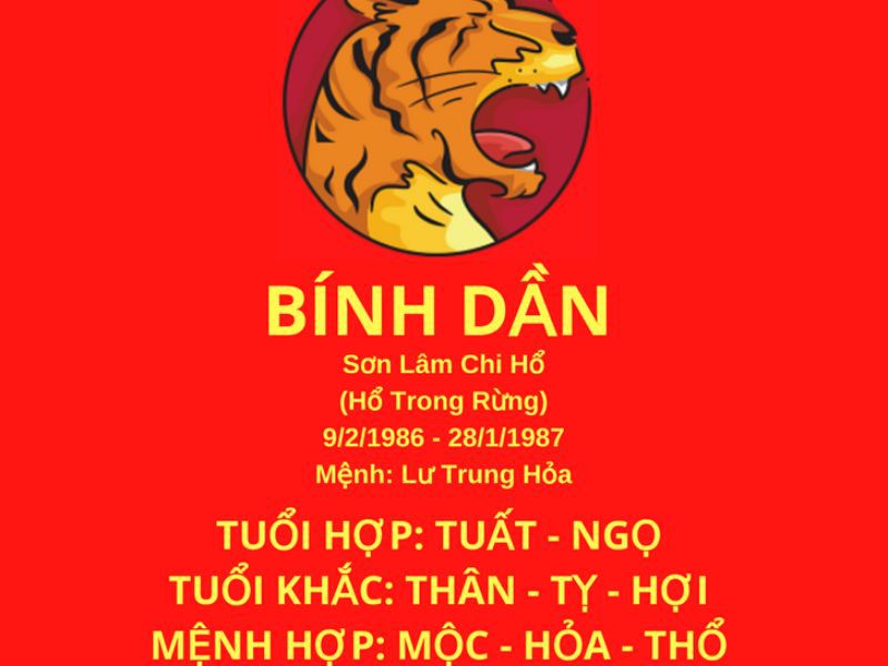 Người tuổi Bính Dần mang mệnh hỏa, nạp âm Lư Trung Hỏa