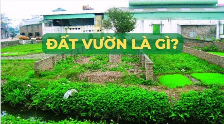 Đất vườn là gì trên thực tiễn và pháp luật