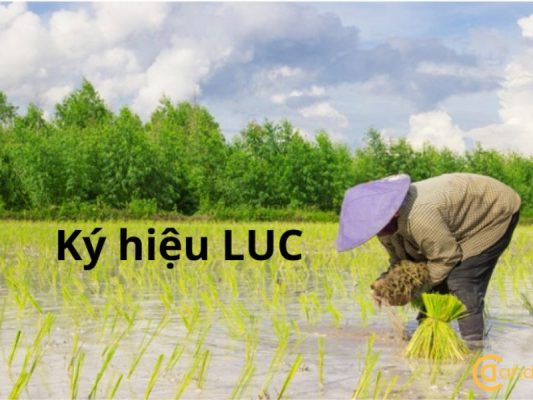 Khái niệm ký hiệu LUC là đất gì trong bản đồ địa chính?