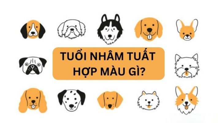 Tuổi nhâm tuất hợp màu gì trong phong thuỷ