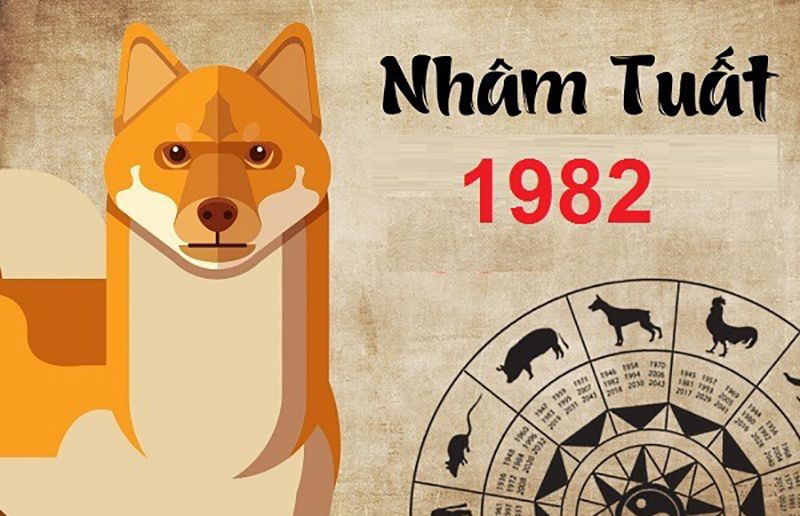 Vận mệnh tuổi Nhâm Tuất sinh năm 1982 - nhâm tuất hợp màu gì