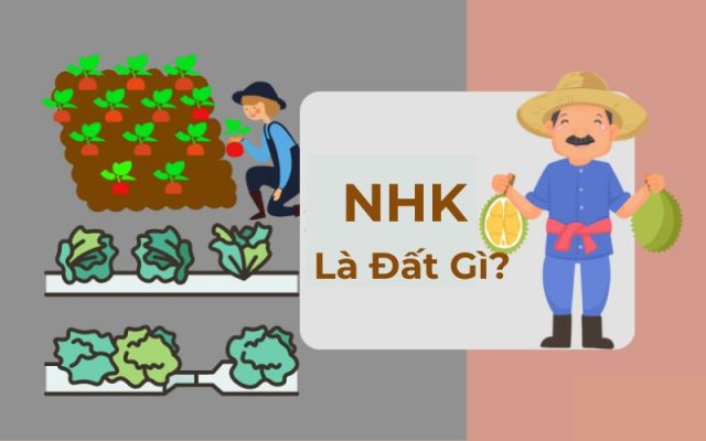 NHK là đất gì? Có nên mua đất NHK để đầu tư không?