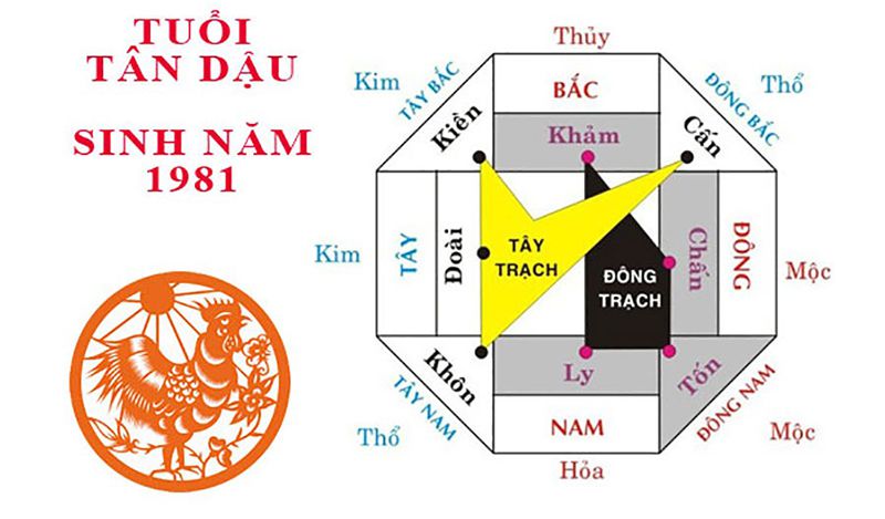 Tuổi tân dậu hợp hướng nào cho nam mạng, nữ mạng