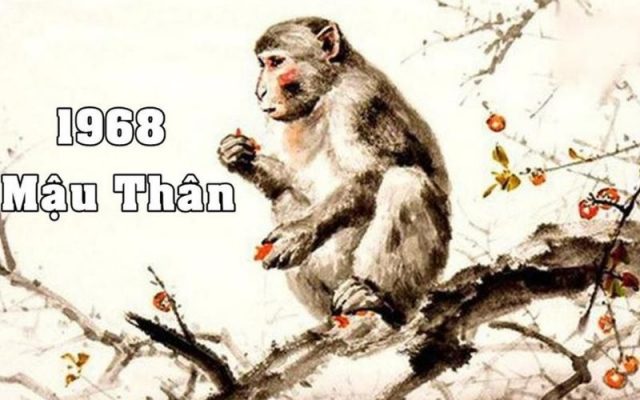 Nên tìm hiểu tổng quan tuổi Mậu Thân 1968 khi xem tuổi 1968 hợp hướng nào